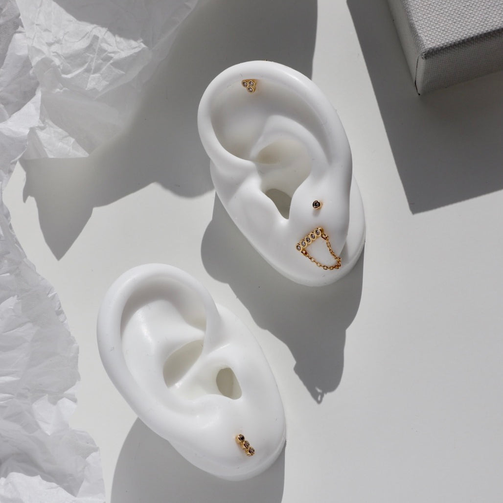 Holly Silver Stud Earrings Set image 0