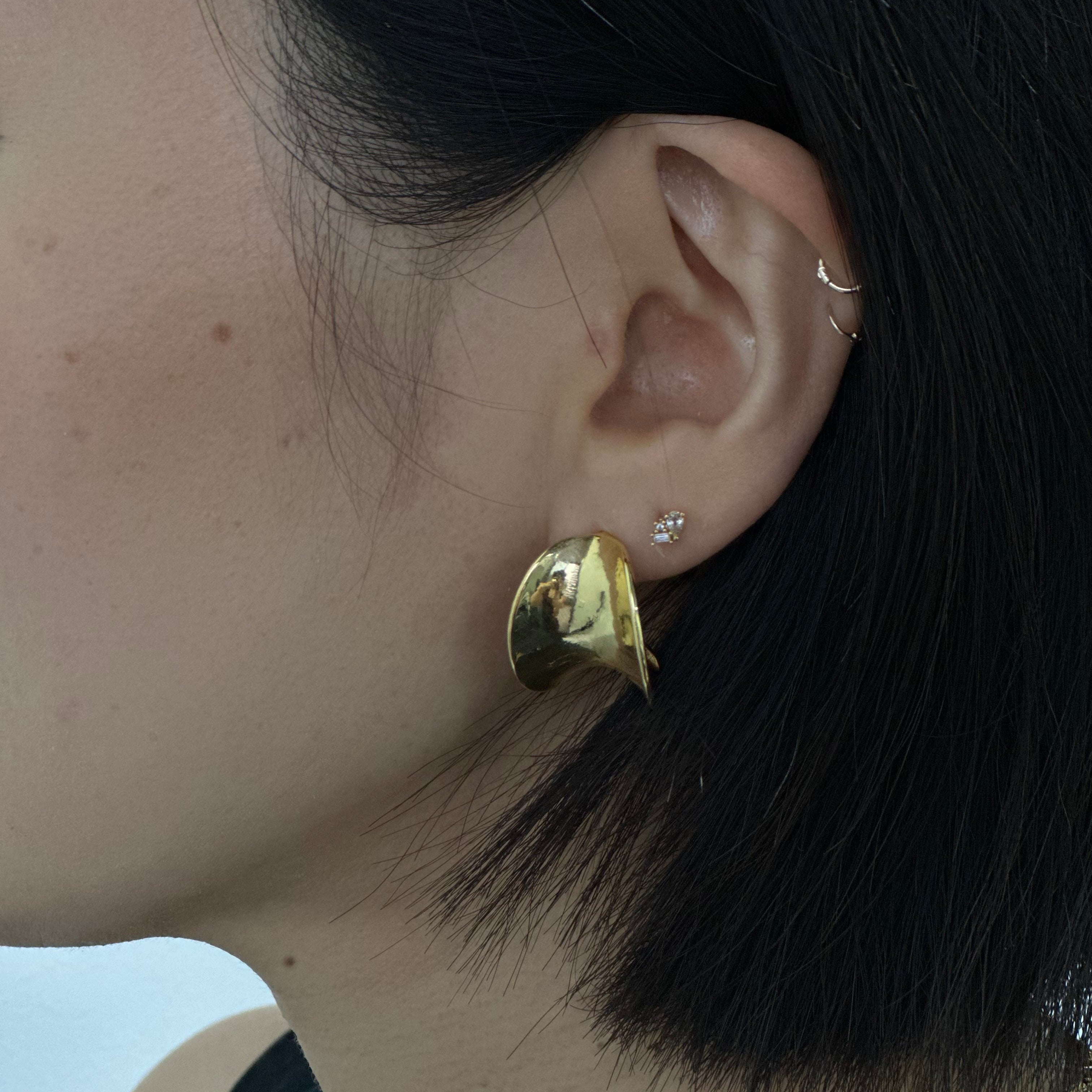 Fluid Curve Earrings