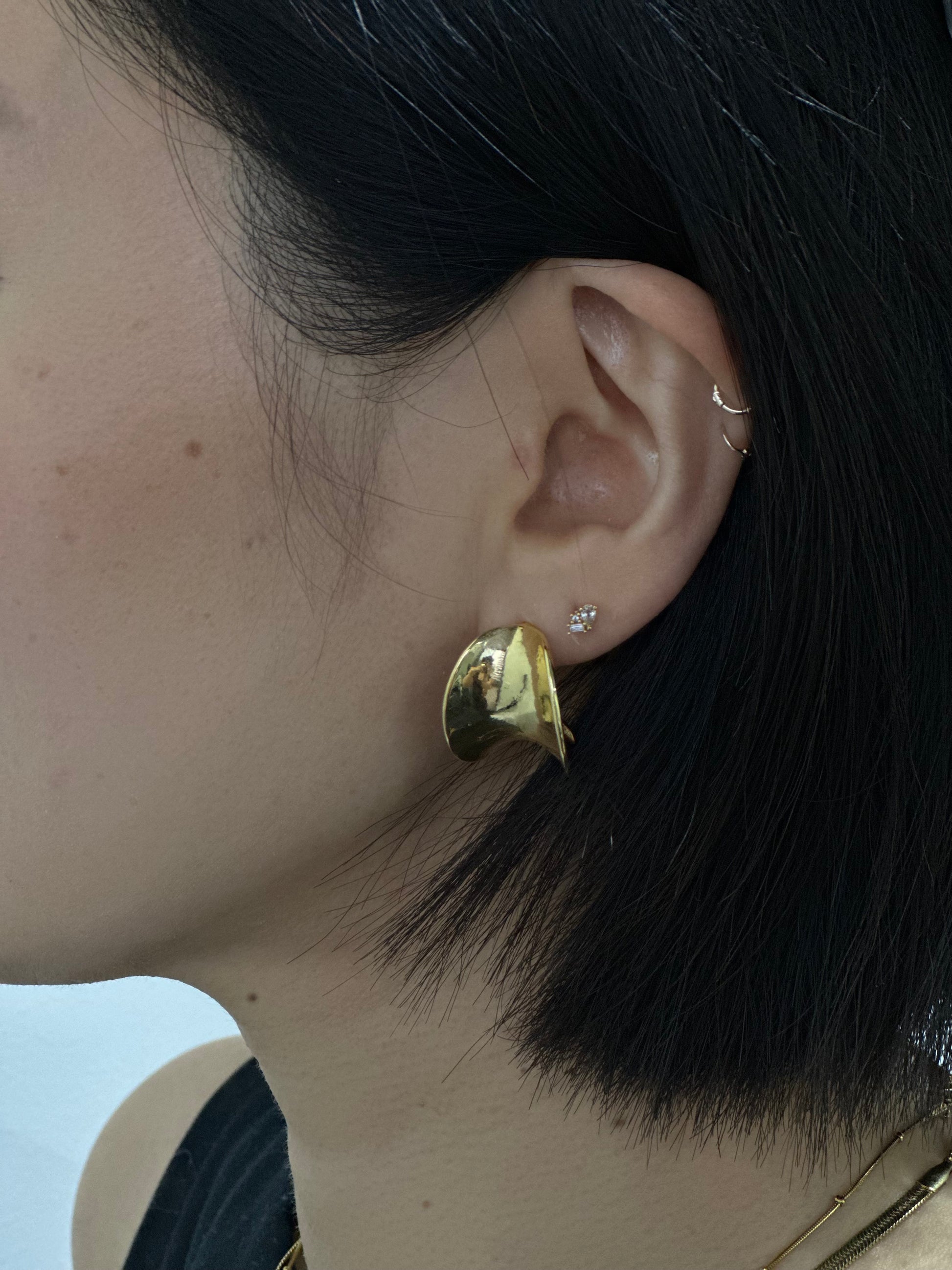 Fluid Curve Earrings