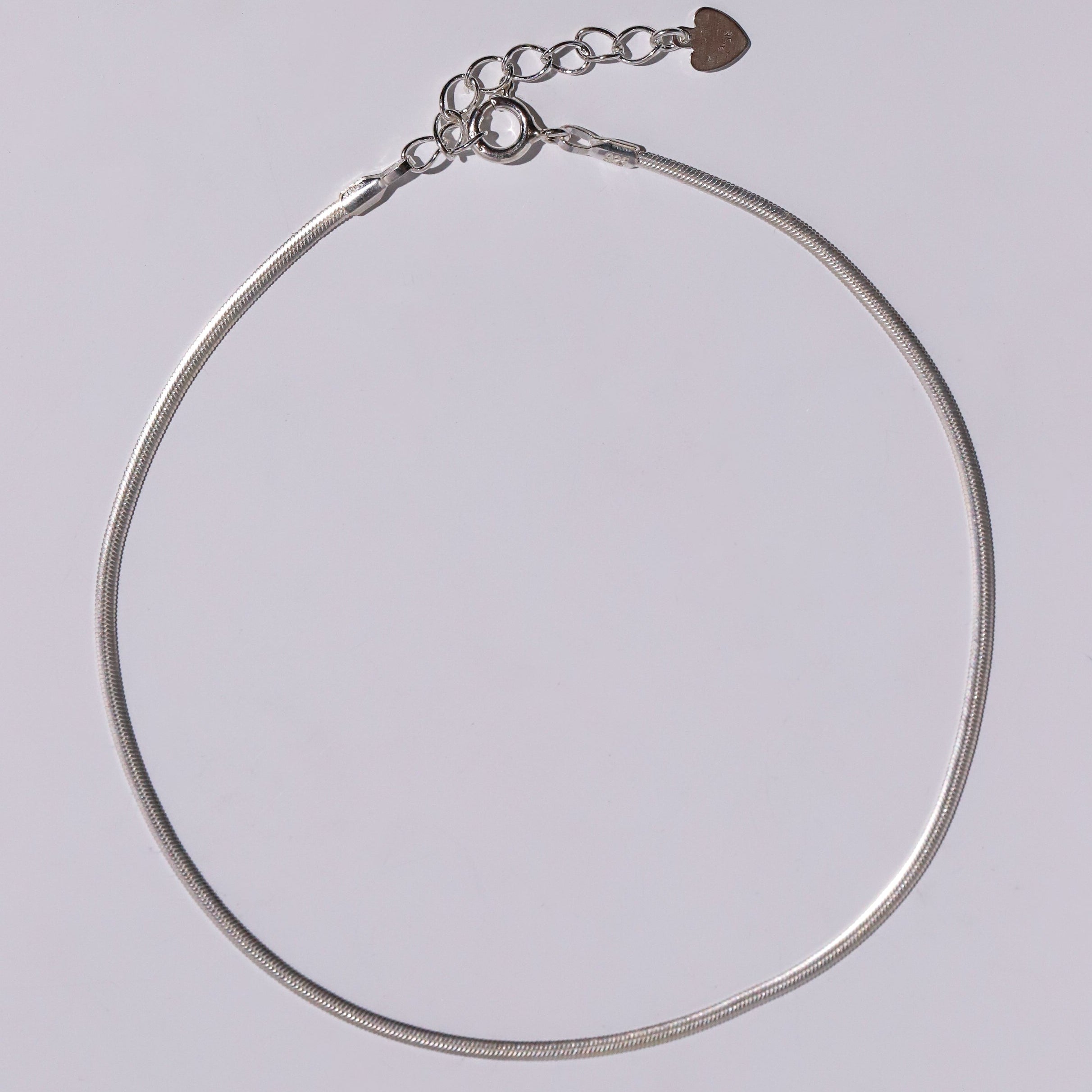 Thin Snake Chain Anklet