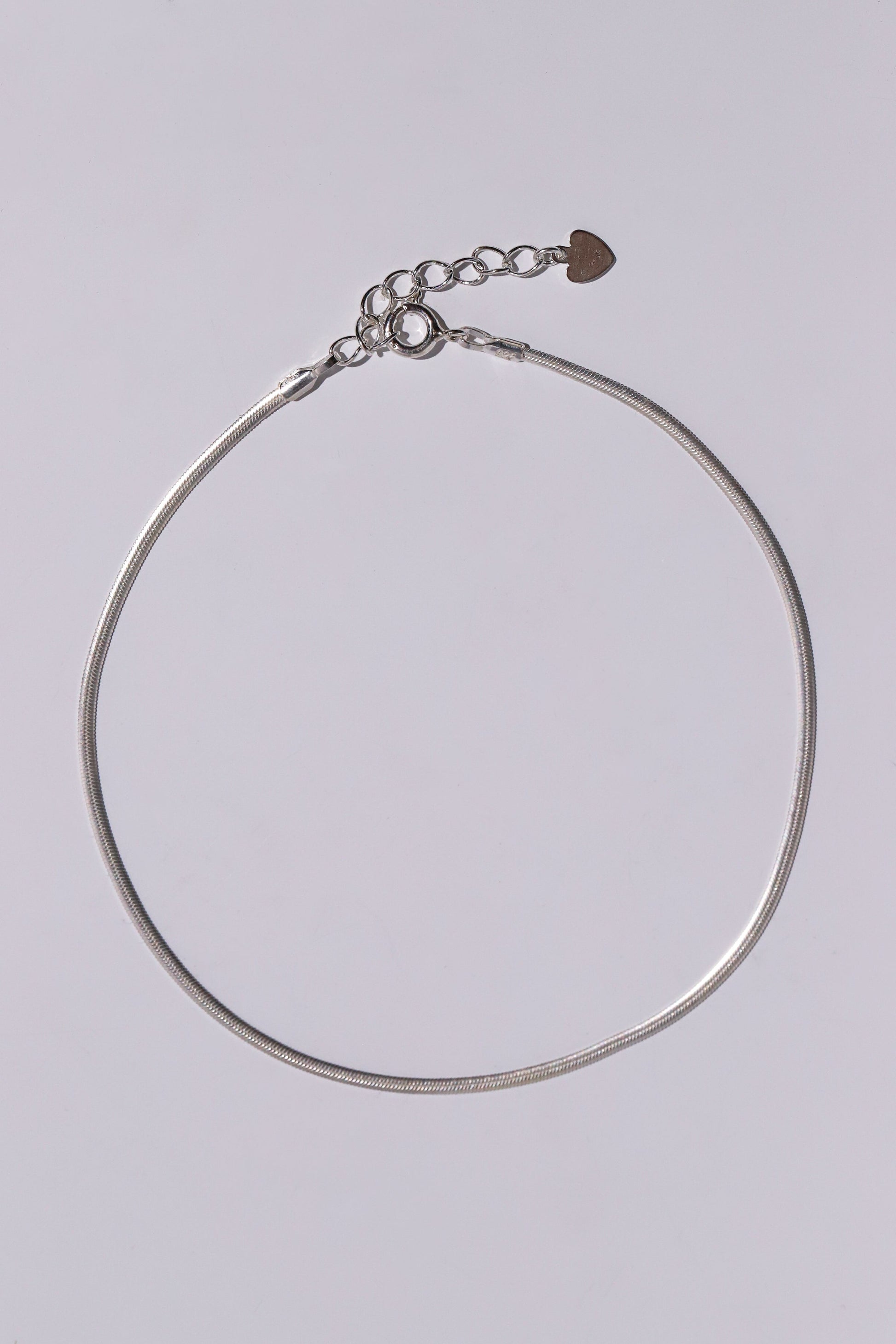 Thin Snake Chain Anklet