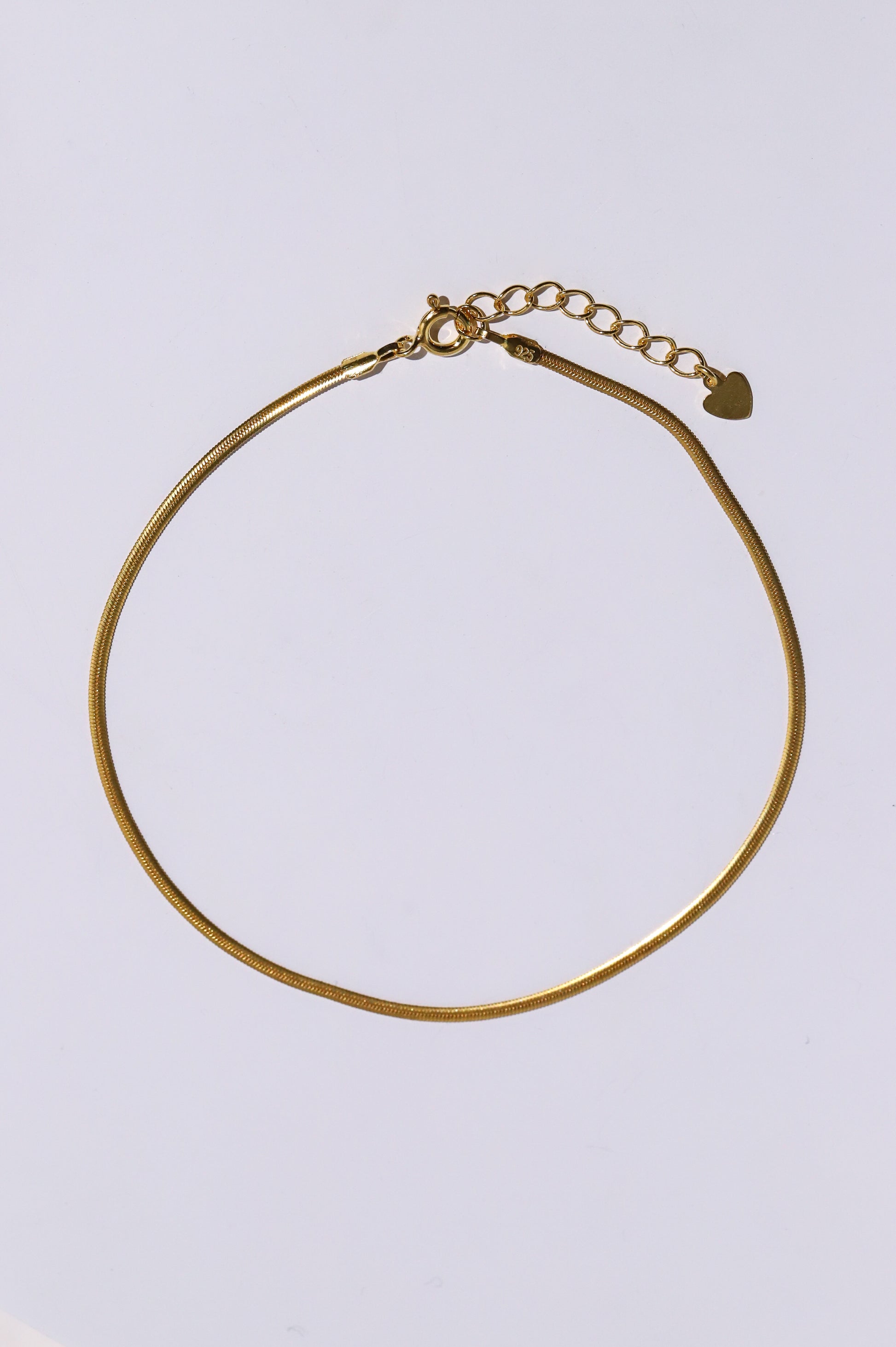 Thin Snake Chain Anklet