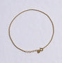 Thin Bullet Chain Anklet