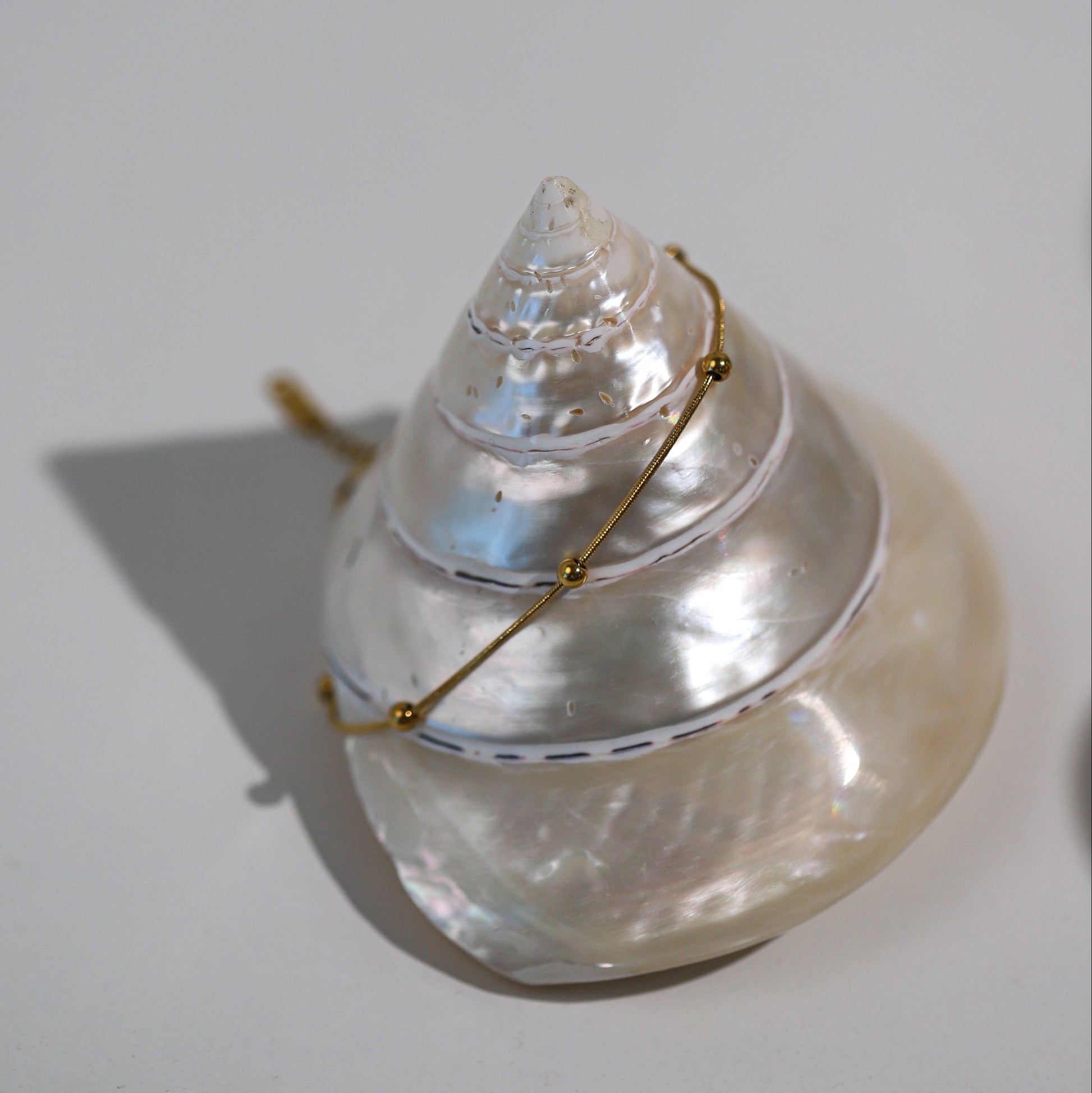 Round Snake Ball Chain Anklet