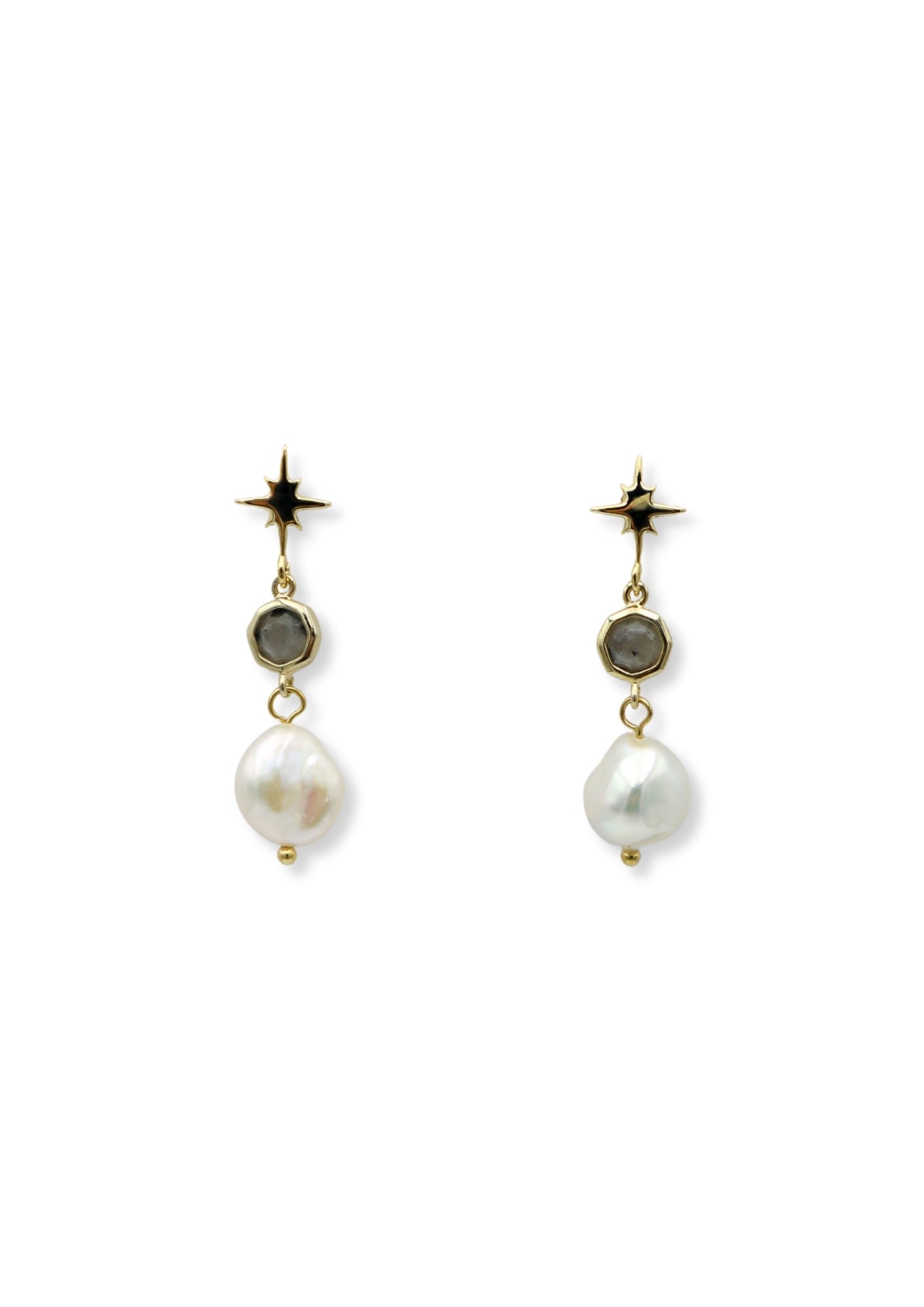 Stardust Labradorite Drop Earrings image 0