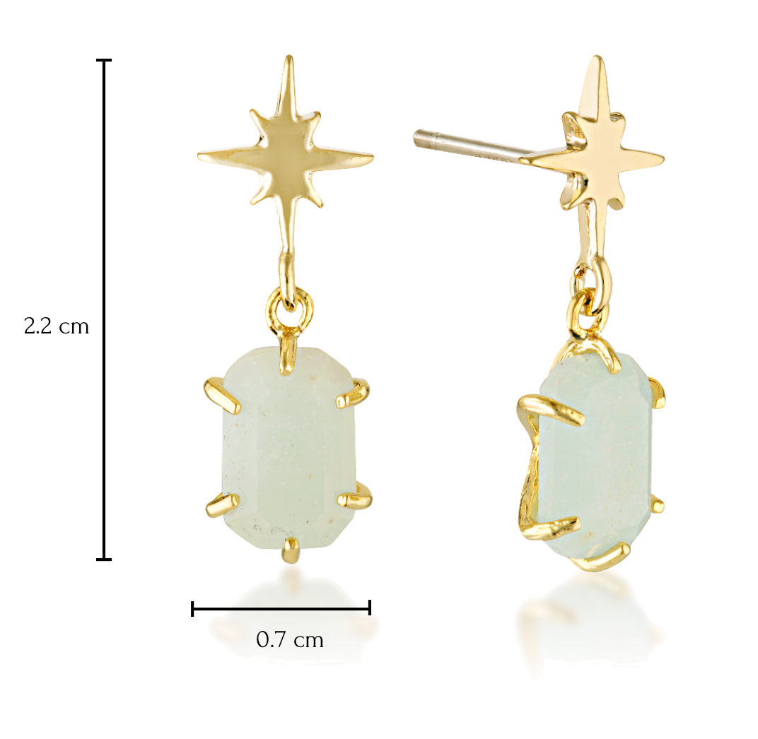 Star Stone Earrings image 1