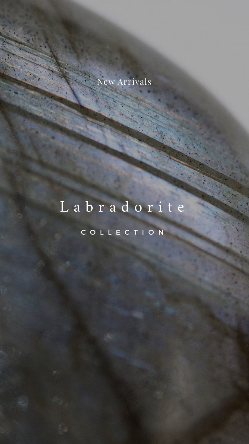 Stardust Labradorite Stud Earrings image 7